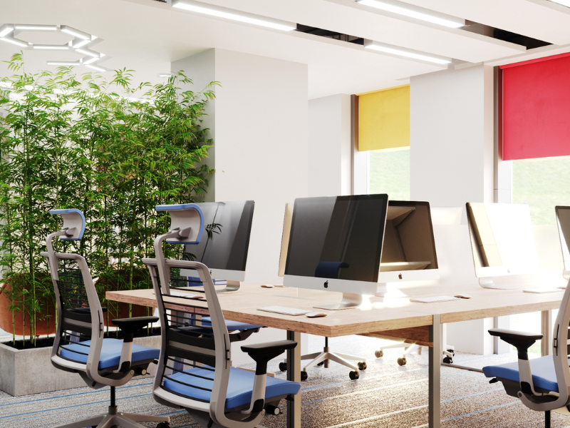 Văn phòng nhỏ sẽ trở nên thoáng mát, tươi mới và trong lành hơn nhờ việc bố trí cây xanh