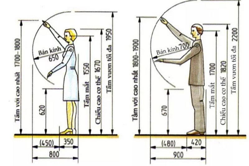Công Thái Học Trong Nội Thất Là Gì? Tại Sao Bạn Không Thể Bỏ Qua? Công Thái Học Trong Nội Thất Là Gì? Tại Sao Bạn Không Thể Bỏ Qua?